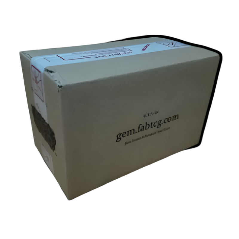 High Seas Case (4 Booster Boxes)