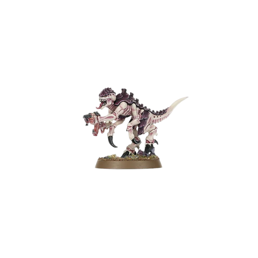 Warhammer 40,000 - Introductory Set