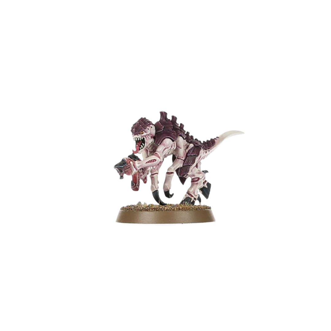 Warhammer 40,000 - Introductory Set