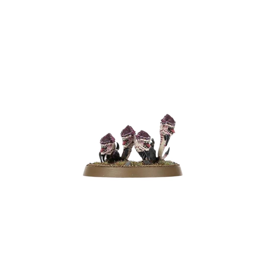 Warhammer 40,000 - Introductory Set
