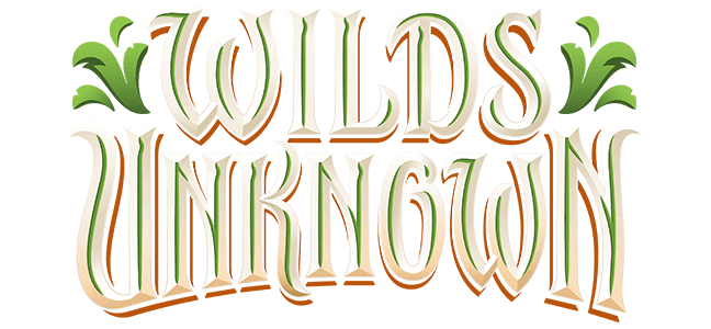 Lorcana: Wilds Unknown Booster Display