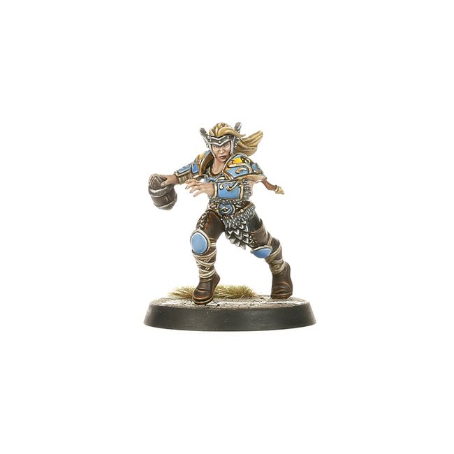 Blood Bowl - Norse Team: Norsca Rampagers