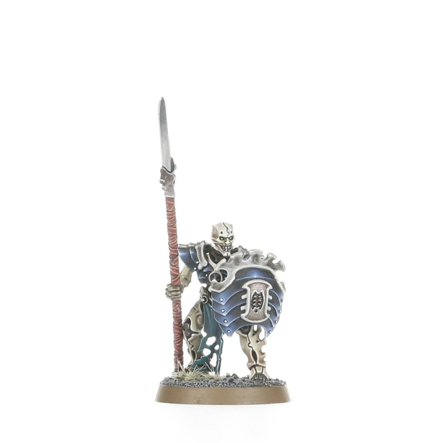 Warhammer: Age of Sigmar - Battleforce: Sylvaneth - Battleforce: Battleforce: Ossiarch Bonereapers – Null Myriad Phalanx