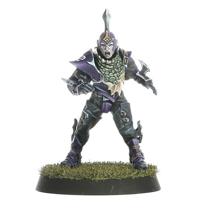 Blood Bowl - Dark Elf Team: The Naggaroth Nightmares