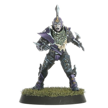 Blood Bowl - Dark Elf Team: The Naggaroth Nightmares