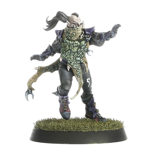 Blood Bowl - Dark Elf Team: The Naggaroth Nightmares