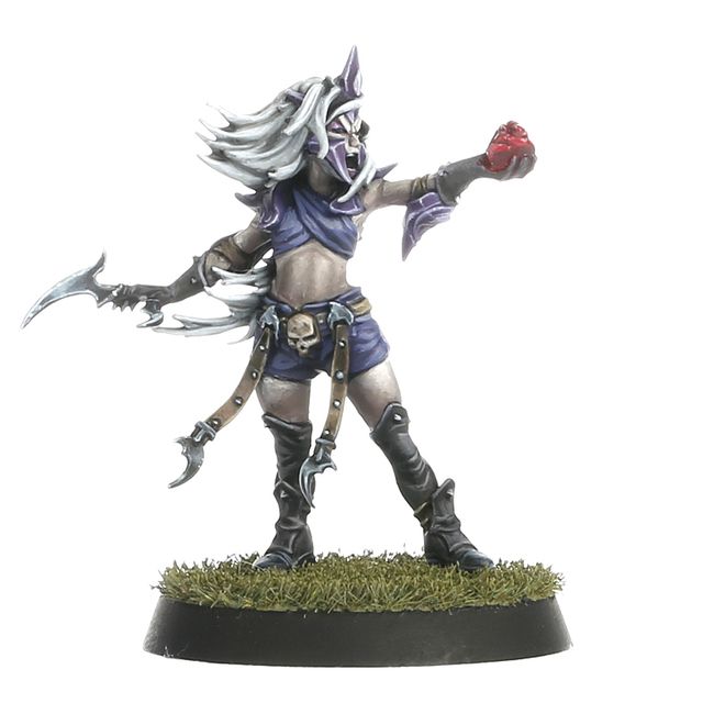 Blood Bowl - Dark Elf Team: The Naggaroth Nightmares