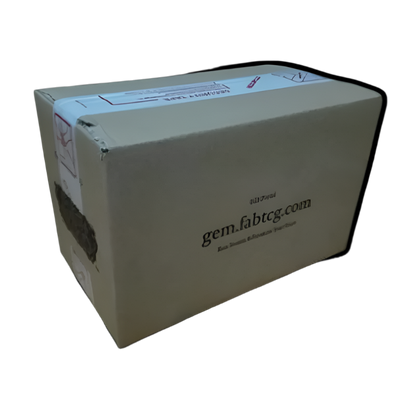 High Seas Case (4 Booster Boxes)