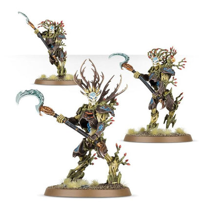 Warhammer: Age of Sigmar - Battleforce: Sylvaneth - Strongroot Grove