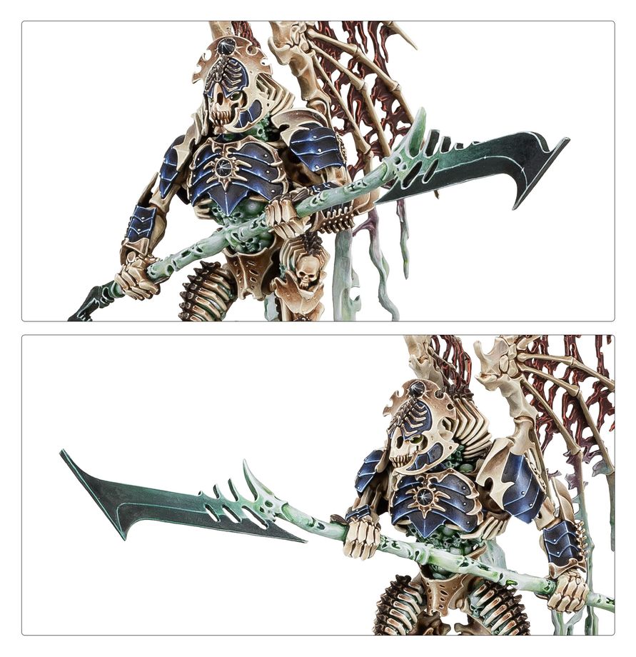 Warhammer: Age of Sigmar - Battleforce: Sylvaneth - Battleforce: Battleforce: Ossiarch Bonereapers – Null Myriad Phalanx