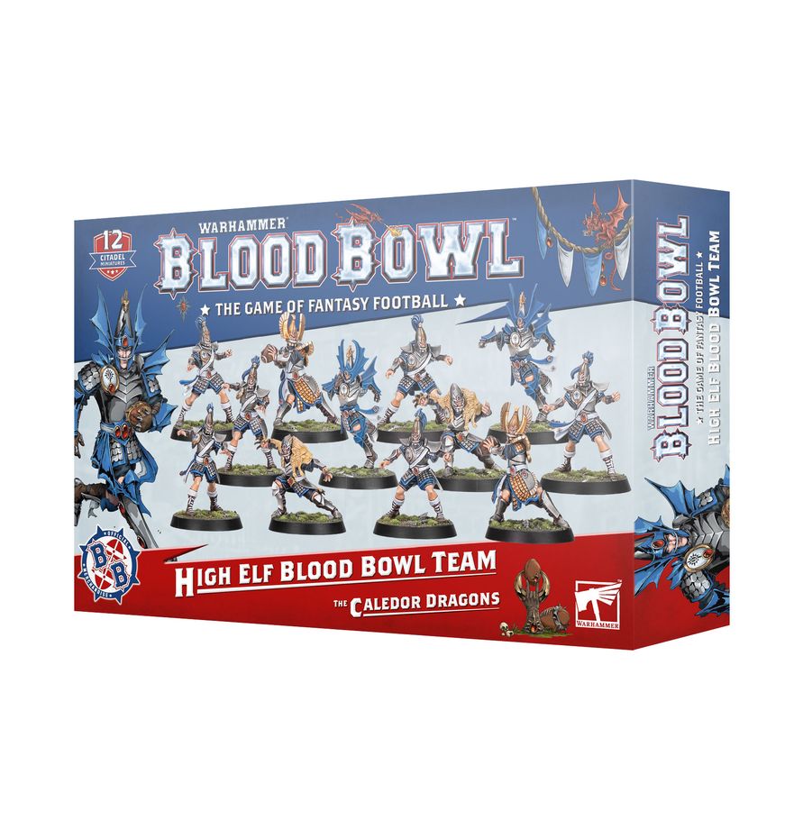 Blood Bowl - High Elf Blood Bowl Team - The Caledor Dragons