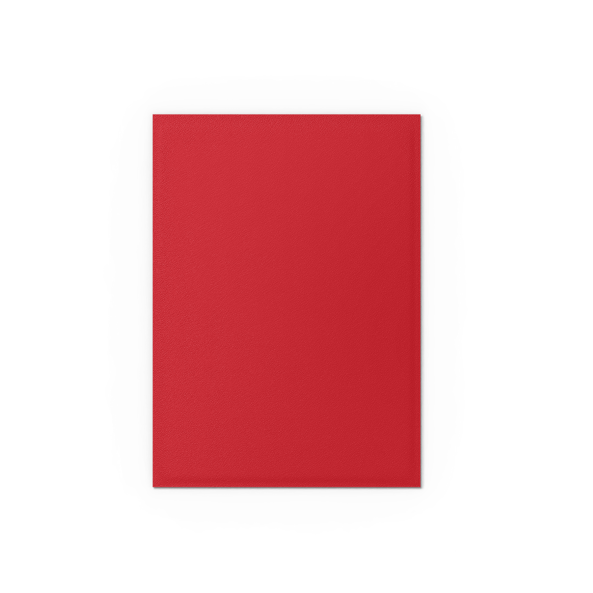 Dragon Shield - Standard Sleeves Matte (100 Sleeves) Crimson & Silver