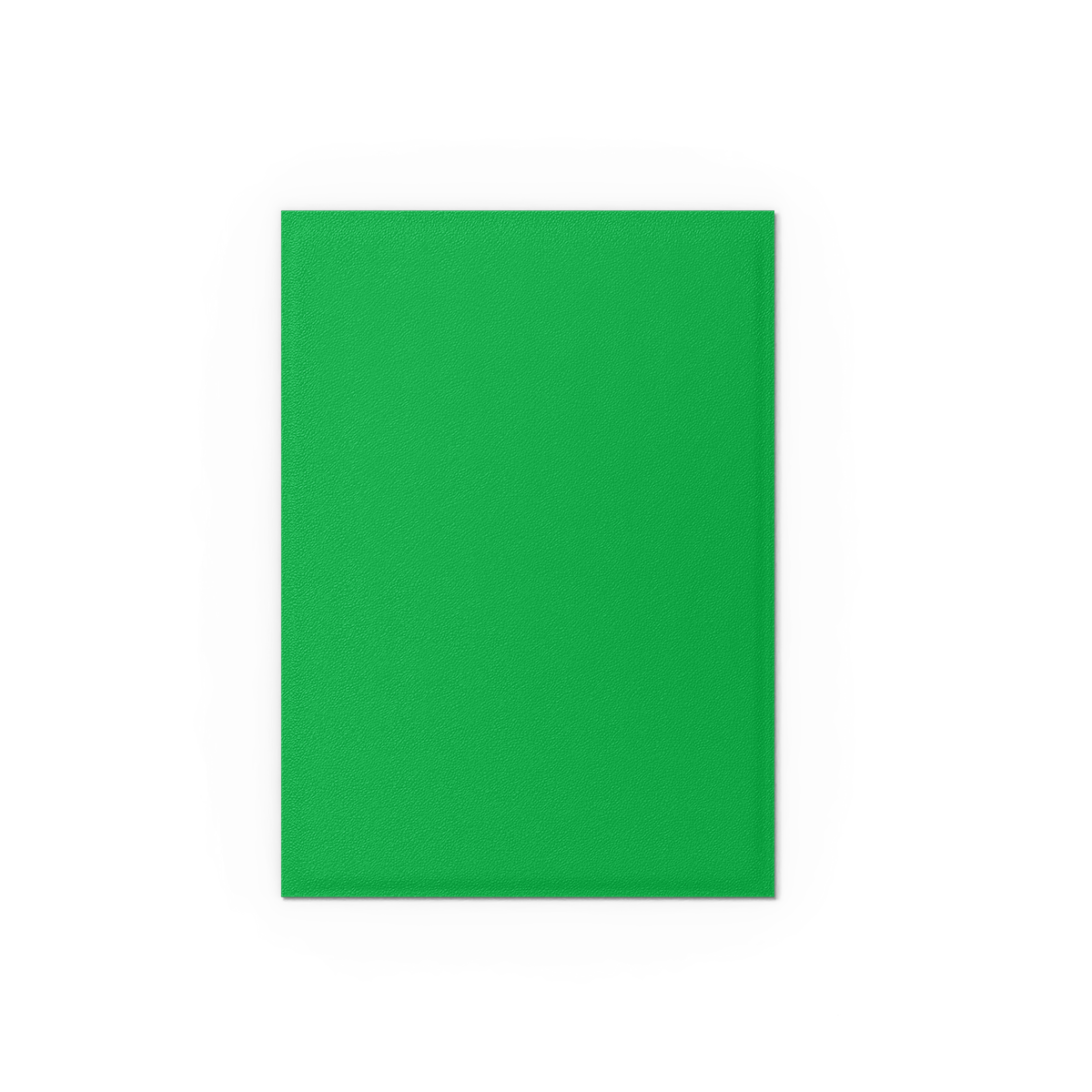 Dragon Shield Standard Matte Dual Sleeves Apple Green & Silver