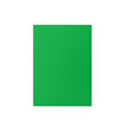 Dragon Shield Standard Matte Dual Sleeves Apple Green & Silver