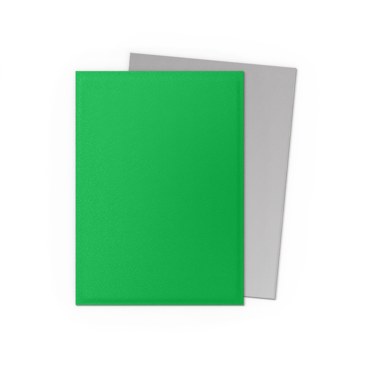 Dragon Shield Standard Matte Dual Sleeves Apple Green & Silver