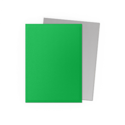 Dragon Shield Standard Matte Dual Sleeves Apple Green & Silver