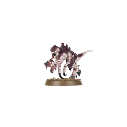 Warhammer 40,000 - Introductory Set