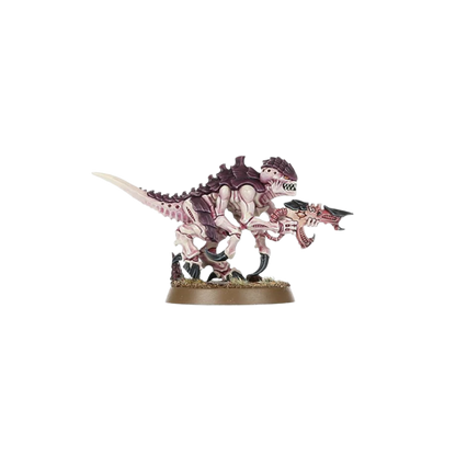 Warhammer 40,000 - Introductory Set