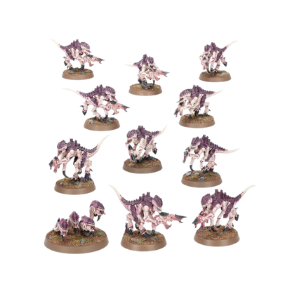 Warhammer 40,000 - Introductory Set